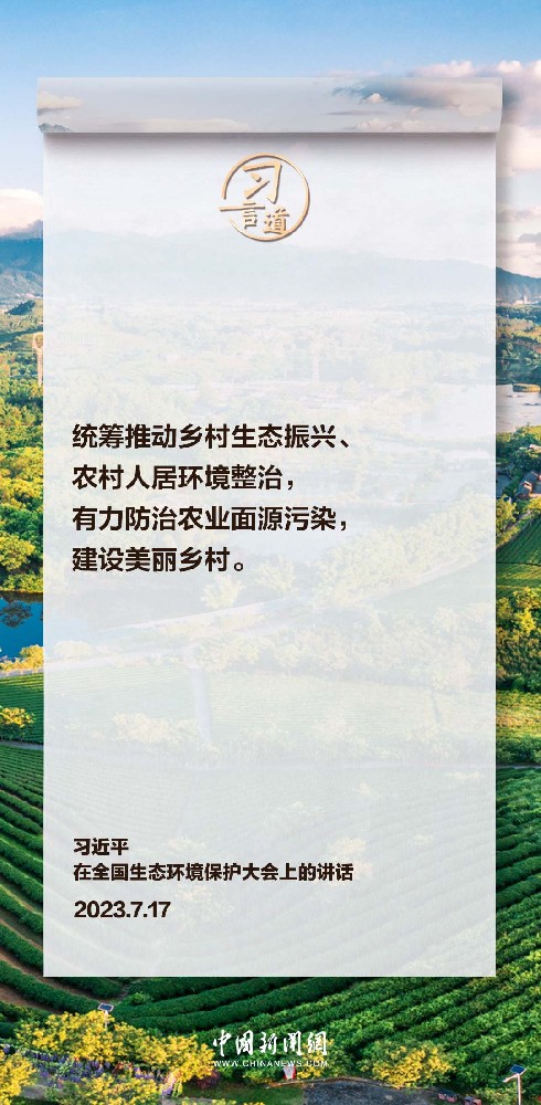 AG콢 (й½) Apple Store